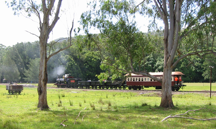 A train going through a forest

AI-generated content may be incorrect.