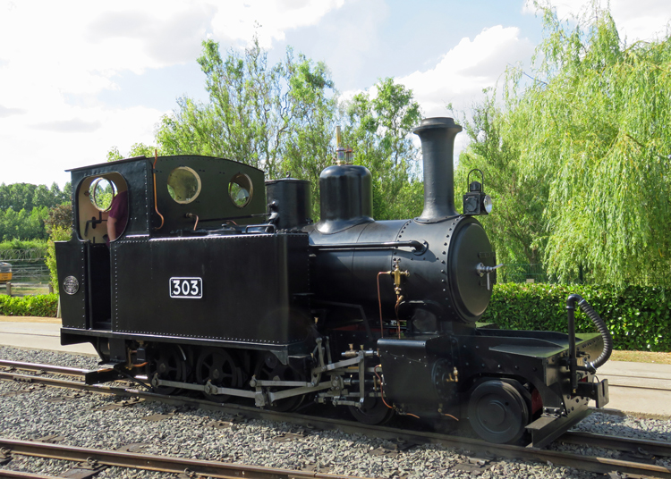 Preserved Steam in Brazil